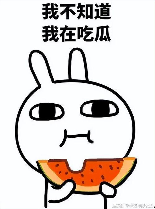 娱乐圈吃瓜白底图表情包